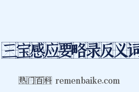 三宝感应要略录反义词是什么意思的图片